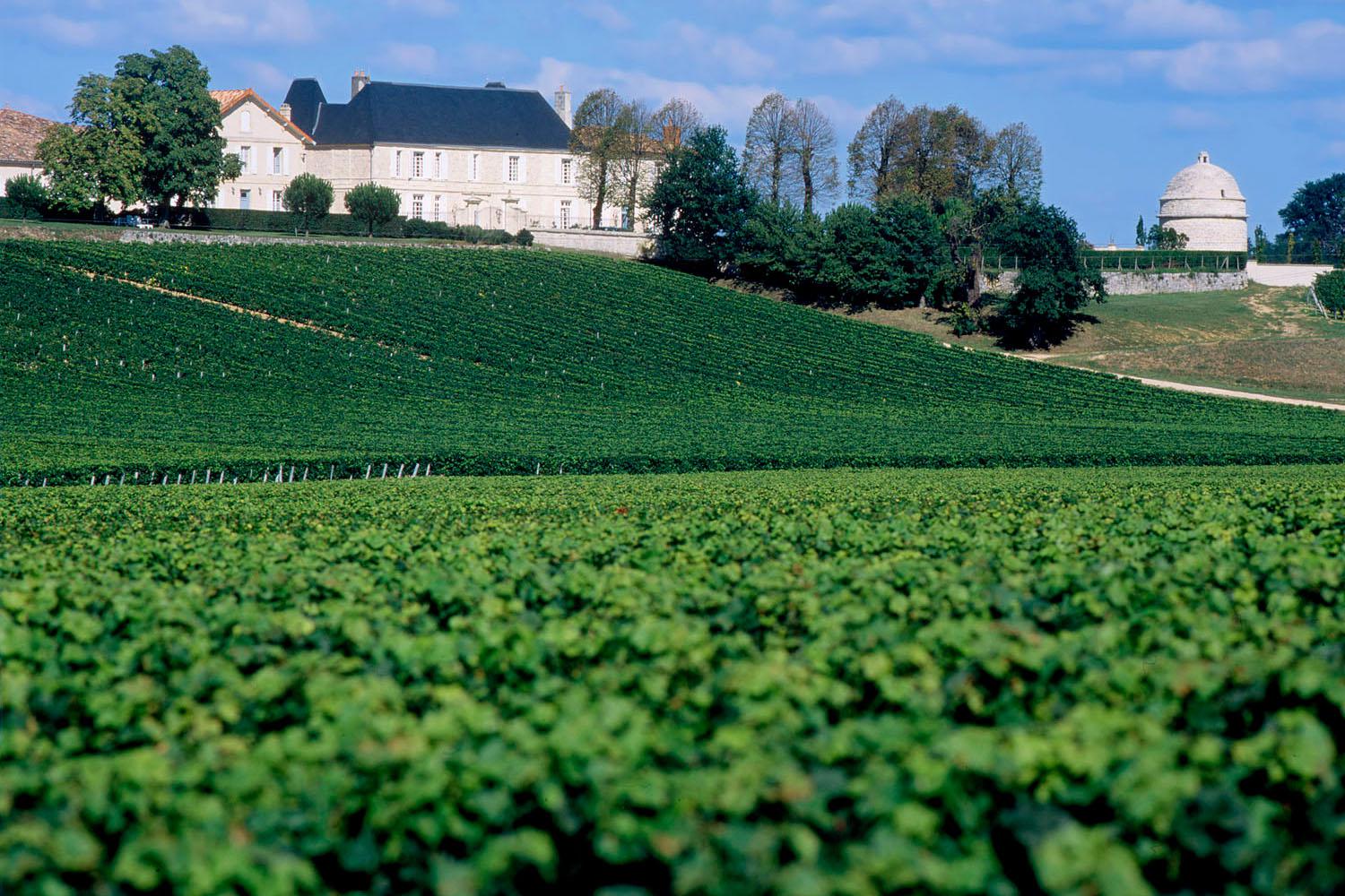 Château du Bousquet