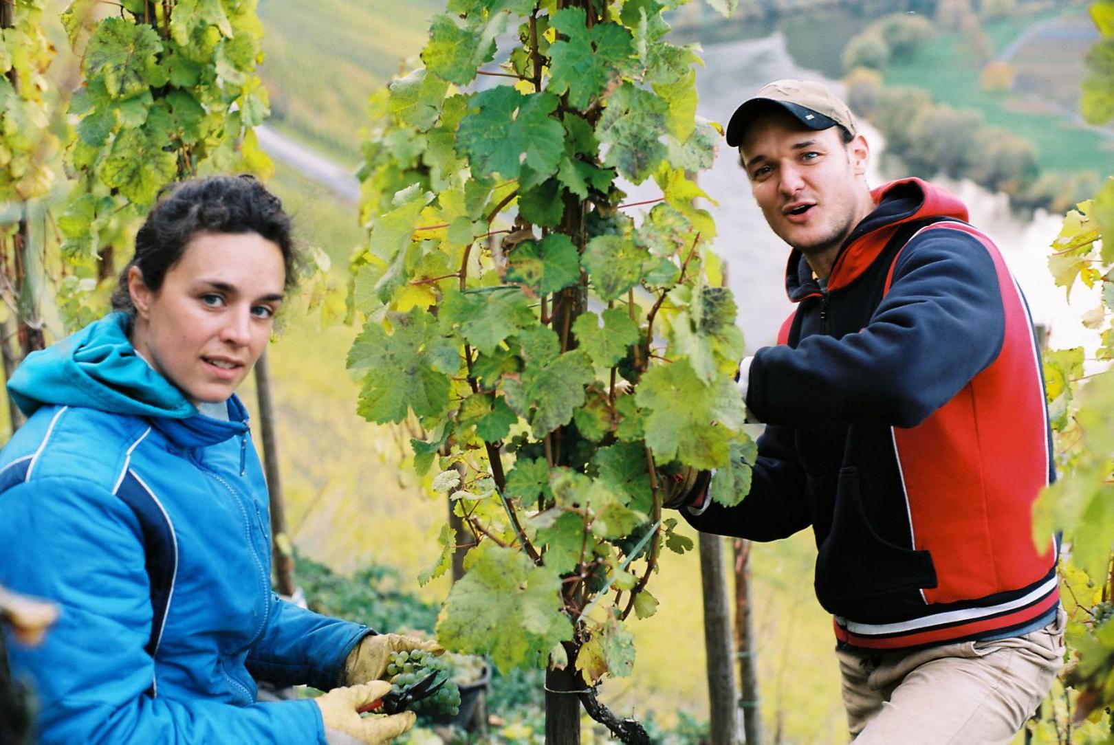 Weingut Clüsserath-Weiler