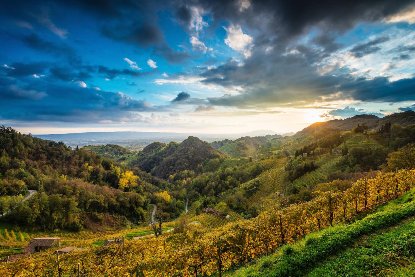 Conegliano Valdobbiadene Prosecco Sup. DOCG Conegliano Valdobbiadene Prosecco Sup. DOCG